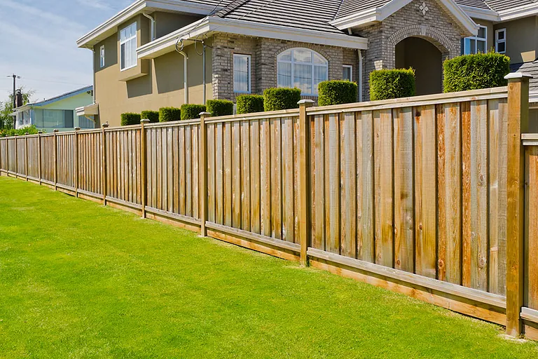 Panel fencing in a garden