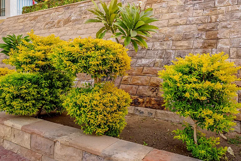 Gardening services